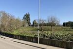 BAUPLATZ FÜR EIN MEHRFAMILIENHAUS - Grundstück Walzbachtal | Angebot:27159389