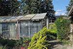 DHH im Stadtteil Zwickau-Eckersbach - Doppelhaushälfte Zwickau Auerbach | Angebot:26489501