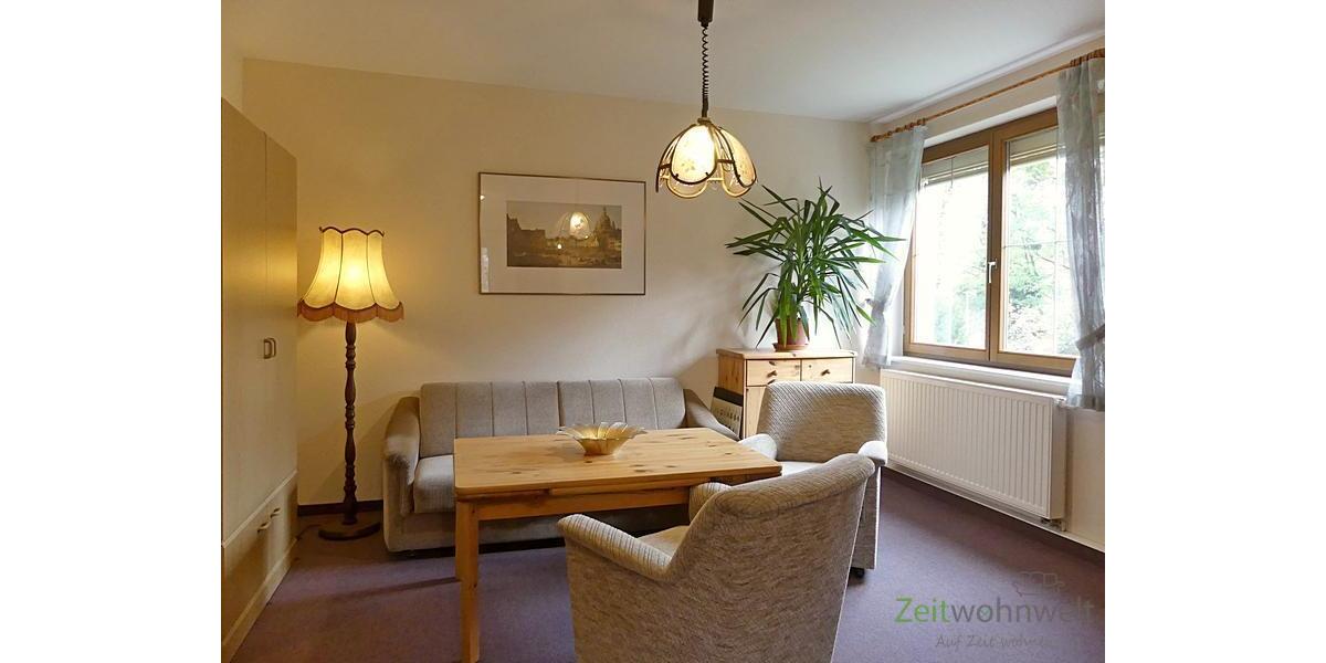 (EF0584_M) Dresden: Blasewitz, möblierte 1,5-Zimmer Wohnung zwischen Waldpark und Elbe - Etagenwohnung Dresden Blasewitz | Angebot:25279707