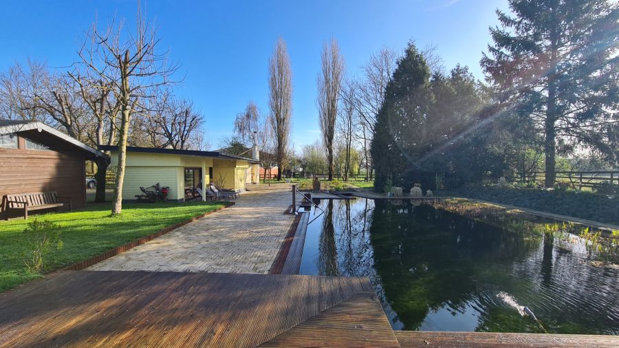 Schwimmteich/Ruheraum mit Blick nach Osten