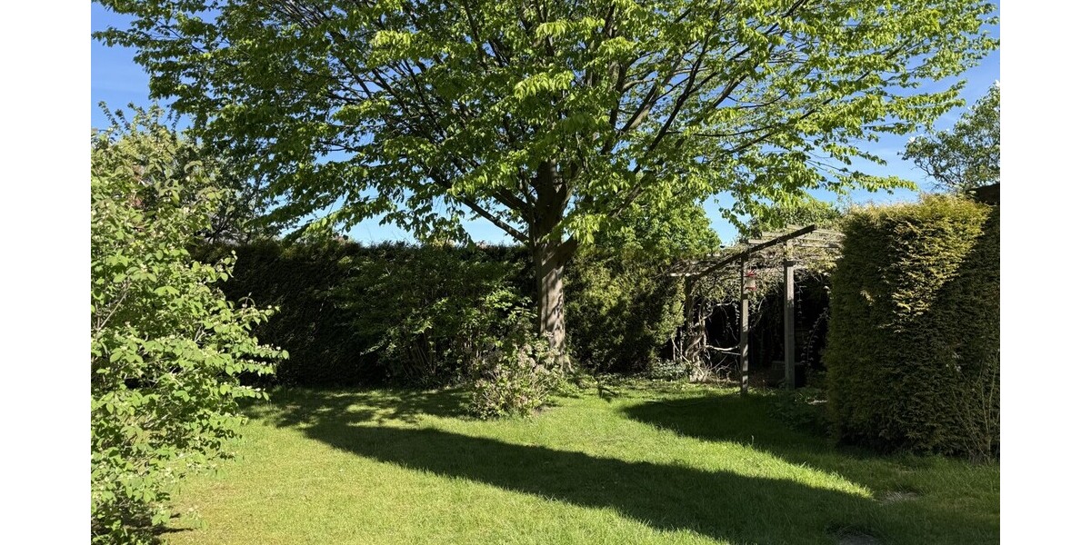 Blick in den Garten