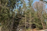 Waldgrundstück Ebersberg 18 ha - Grundstück Edling | Angebot:24604794