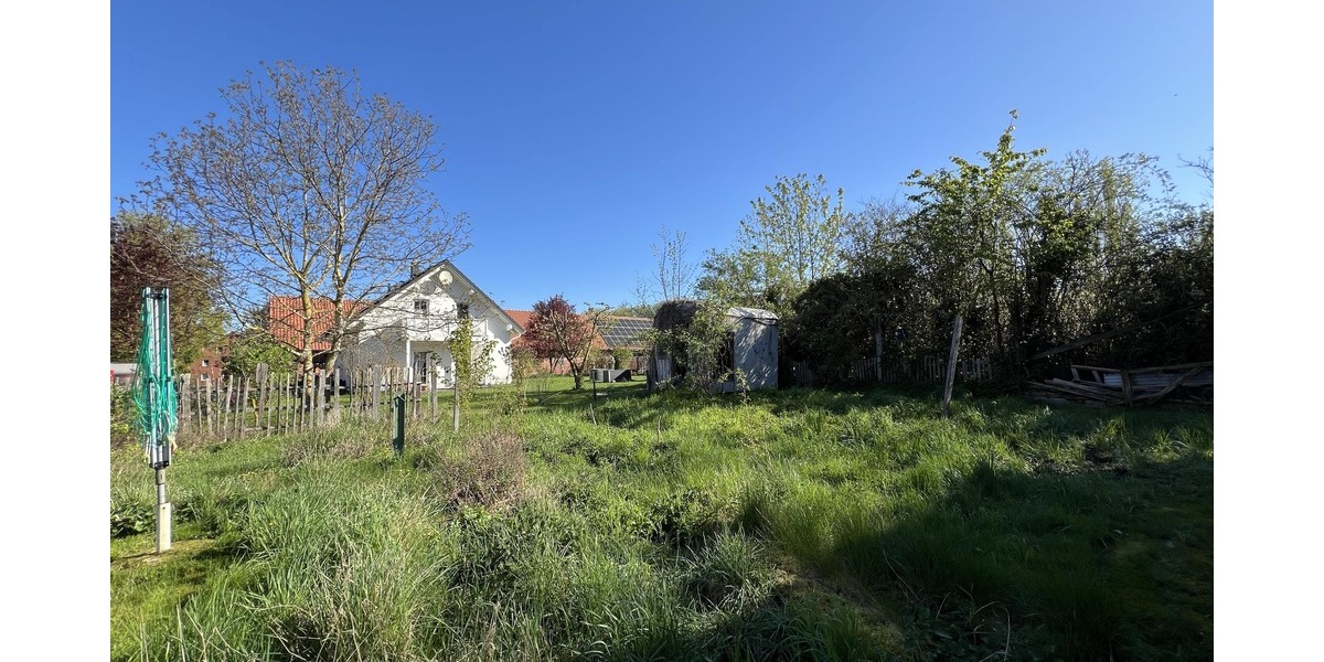 Garten Rückseite des Hauses