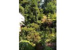 Königsfeld, EFH - Einfamilienhaus Königsfeld | Angebot:23538210