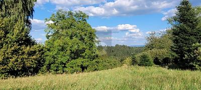 EXKLUSIVER PLATZ IN ATTRAKTIVEM WOHNORT - Grundstück Schwäbisch Gmünd Herlikofen | Angebot:27311891