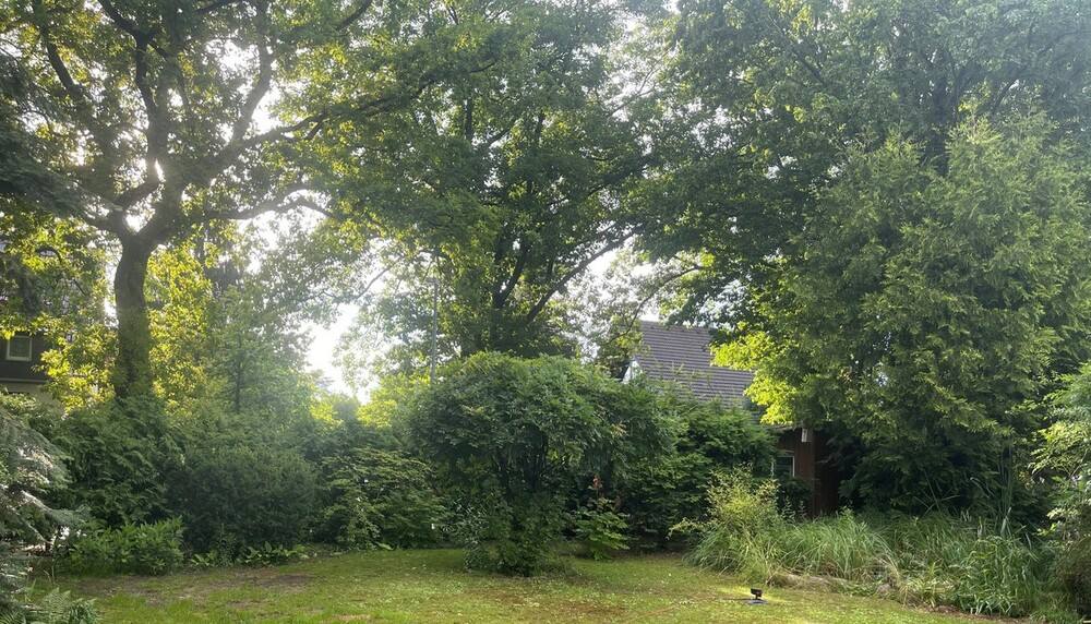 Ansicht-3