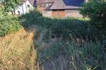 LANDLIEBE MIT PERSPEKTIVE - Grundstück Allstedt | Angebot:27365646