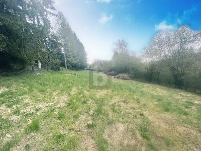 FREIZEITGRUNDSTÜCK AM NATURSCHUTZGEBIET - Grundstück Calw | Angebot:26887625