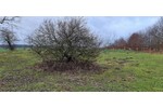 Ca 51400m2 Acker und Weideland nahe Rostock - Grundstück Thulendorf | Angebot:19800536