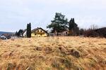 IDYLLISCHES BAUAREAL - Grundstück Seybothenreuth | Angebot:26866059