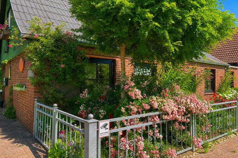 Floraler Vordergarten