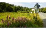 Bad Lauterberg, Grundstück - Grundstück Bad Lauterberg Odertal | Angebot:5717842