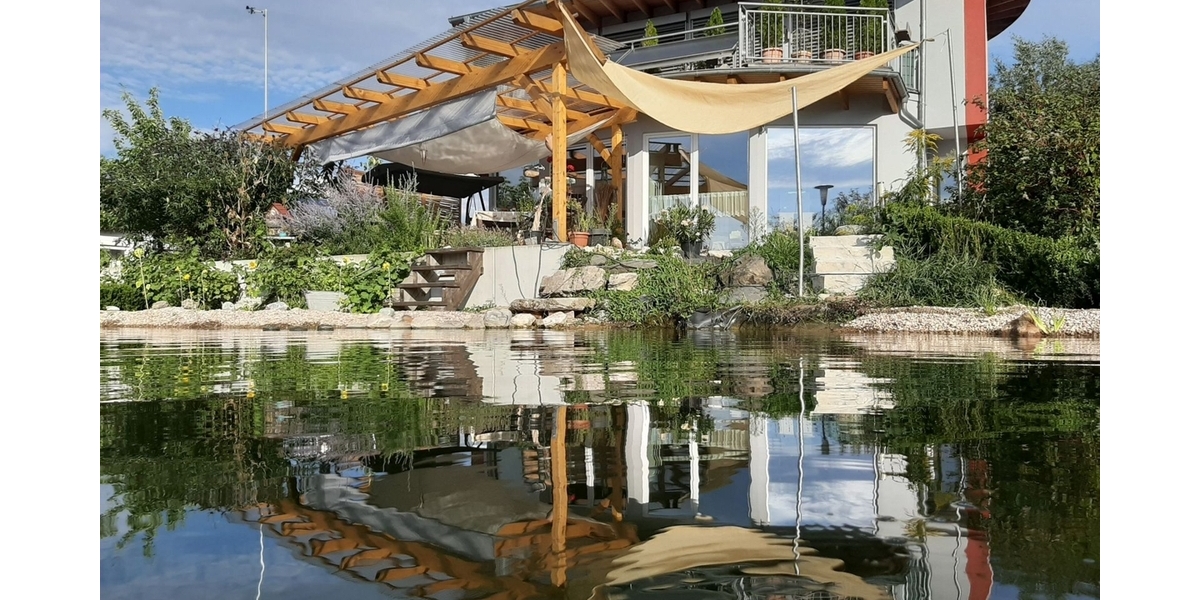 Deich mit Spiegelung Haus groß
