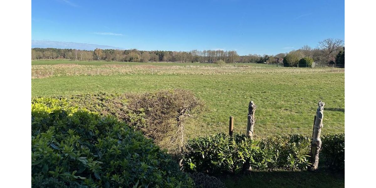 Blick in die Ferne von der Terrasse
