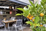 Top gepflegtes Reihenmittelhaus mit gemütlichem Garten, Terrasse und Garage in beliebter Wohnlage - Reihenmittelhaus Pulheim / Brauweiler Brauweiler | Angebot:27285366