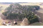 Lebensraum Wald: Fichte, Buche und Lärche in Generationen gewachsen - Grundstück Waldmünchen / Untergrafenried Untergrafenried | Angebot:26531345