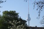 Provisionsfrei* Sonniges 3-Zimmer-Appartement Prenzlauer Berg-saniert & bezugsfrei-nahe S-Bahn-Ring-von privat - Appartement Berlin Prenzlauer Berg | Angebot:26977327
