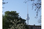 Provisionsfrei* Sunny 3-room-Apartment Prenzlauer Berg-refurbished&vacant-nearby S-Bahn-Ring - no commission - Appartement Berlin Prenzlauer Berg | Angebot:26977327