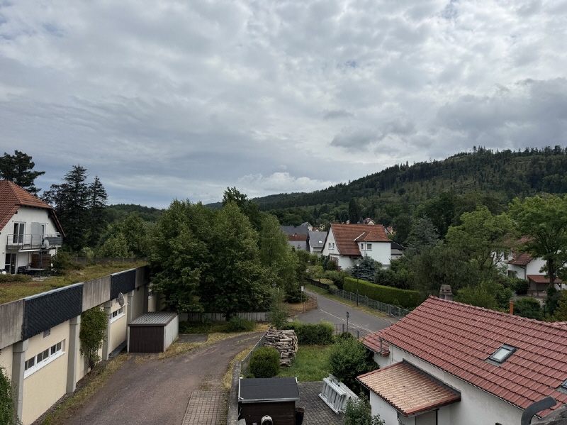 Blick aus dem Wohnzimmer
