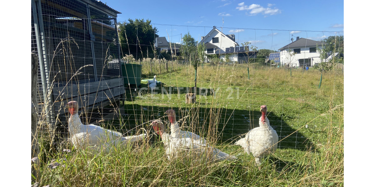 Tierisch nette Nachbarn