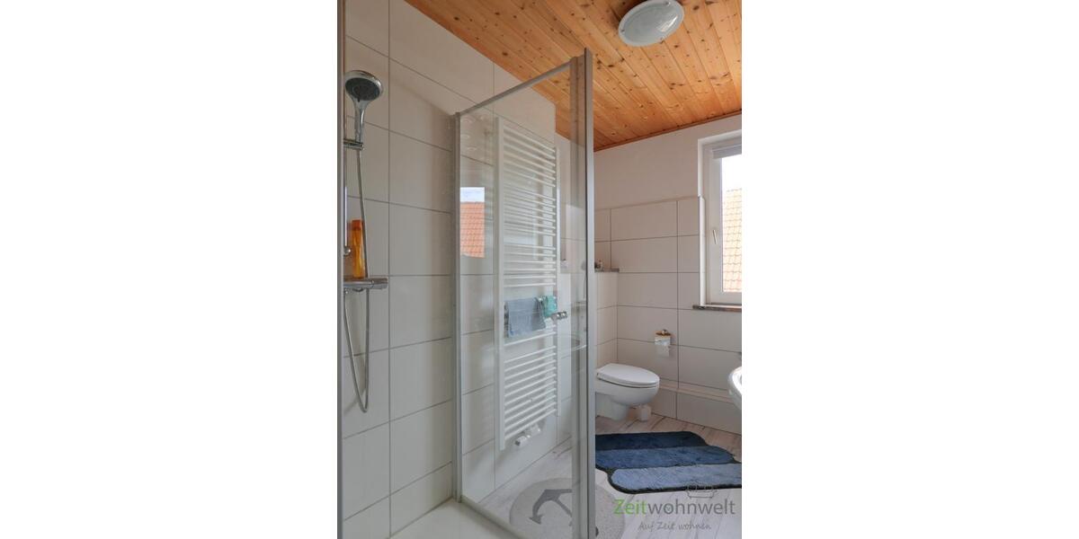 Dusche und Handtuchheizkörper