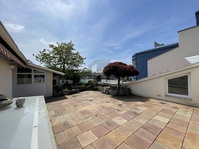 GEWERBE + WOHNEINHEIT MIT RIESIGER DACHTERRASSE - Gewerbeobjekt Binzen | Angebot:27082272