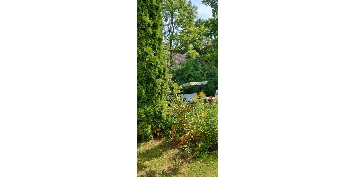 IMG_20220805_113556 Garten