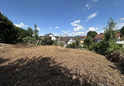 TOP-LAGE MIT GENEHMIGTER BAUPLANUNG - Grundstück Friesenheim | Angebot:27067944