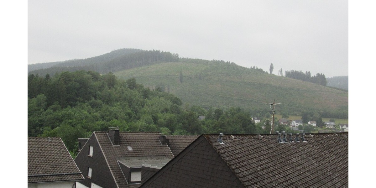 Ausblick