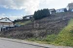 TOP LAGE, VIELE BAUMÖGLICHKEITEN, 765M² - Grundstück Beckingen | Angebot:27449965