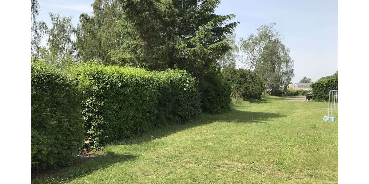 Kleingarten Anmietung Option