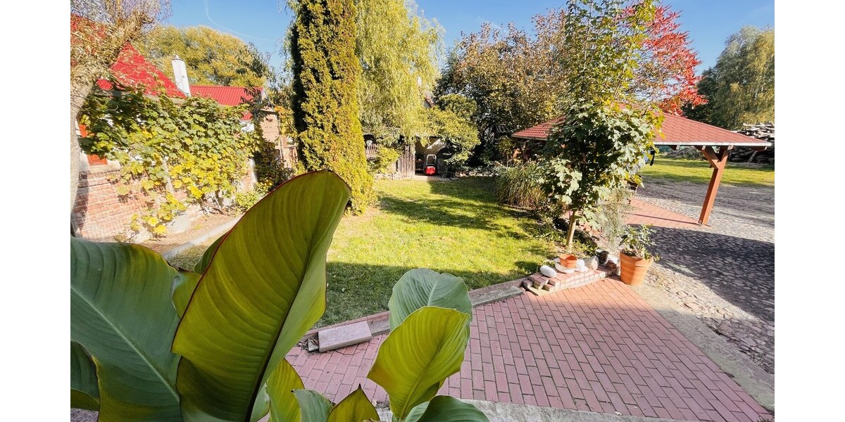 Gartenbereich
