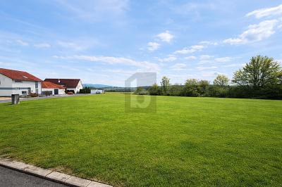 IHR PLATZ FÜR NEUE PERSPEKTIVEN - Grundstück Seybothenreuth | Angebot:27365687