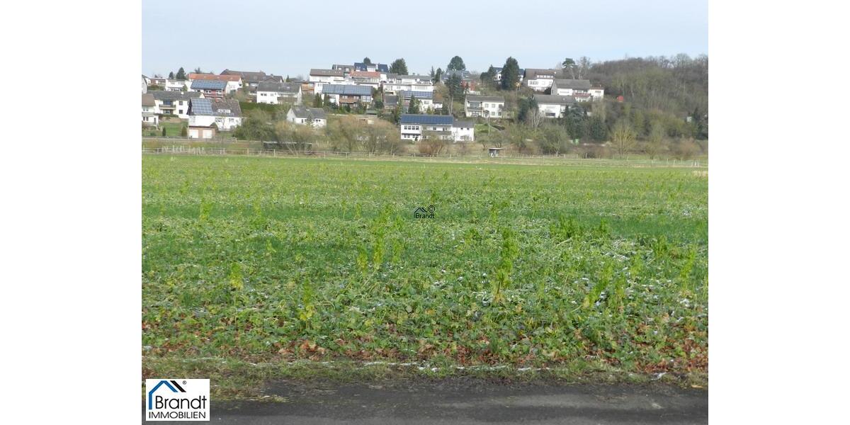 Blick zu den Nachbar