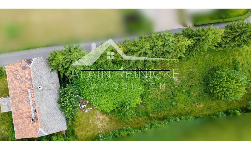 vorderer Teil des Grundstücks