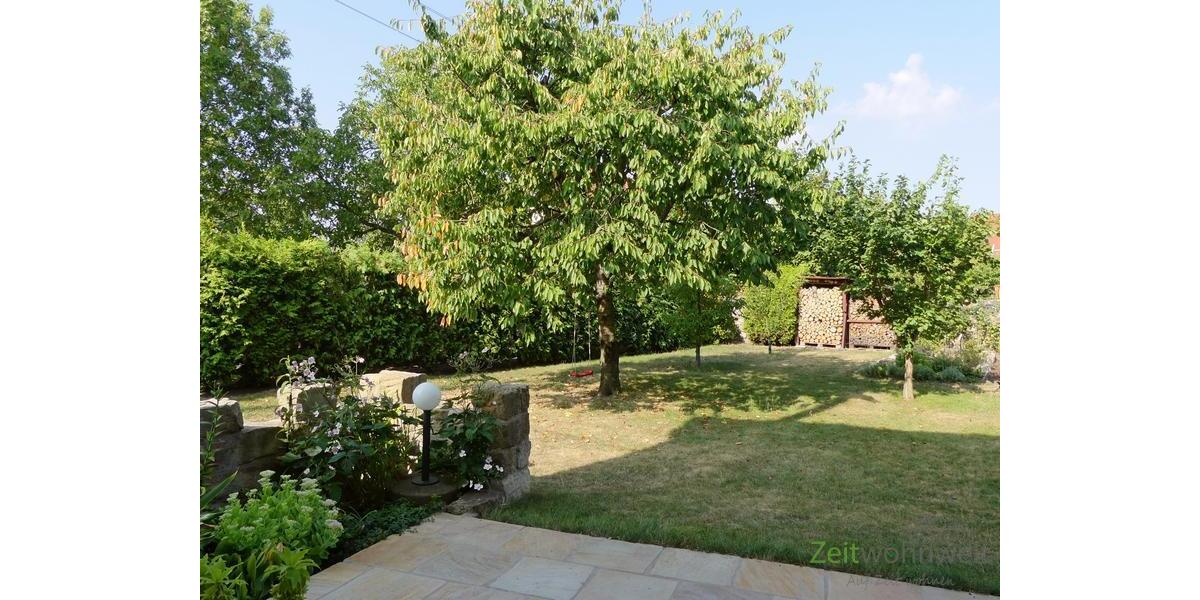 Blick in den Garten