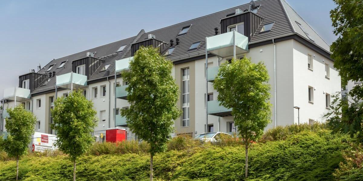 Vorderansicht 3