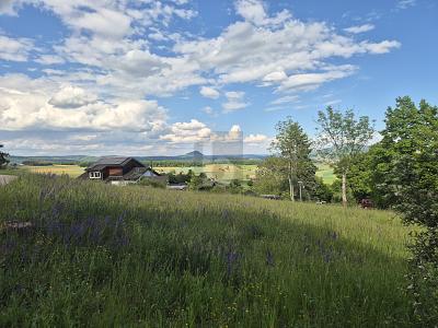 UNVERBAUBARES NATURPARADIES MIT PREMIUMAUSSICHT - Grundstück Tengen | Angebot:26875703