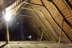 Historischer Niedersachsen- Bauernhof in Fachwerk mit Pferdeboxen u. tollen Eichenbaumbestand - Gewerbeobjekt Diepenau | Angebot:26799632