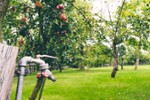 Provisionsfrei* Blockbohlenhaus mit Solaranlage & großem Grundstück - Wohnen im Naturparadies von Rühlow (Sponholz) - Einfamilienhaus Rühlow Rühlow | Angebot:27230413