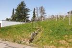 AUSSICHT & LEBENSQUALITÄT - Grundstück Bühlertal | Angebot:27455006