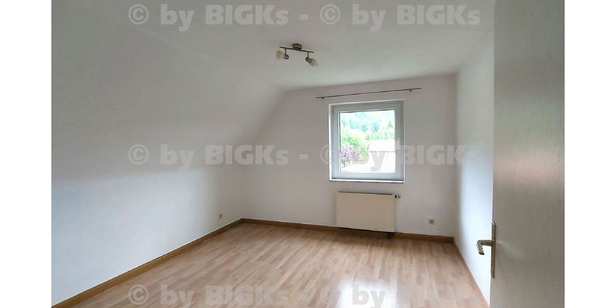 Zimmer3