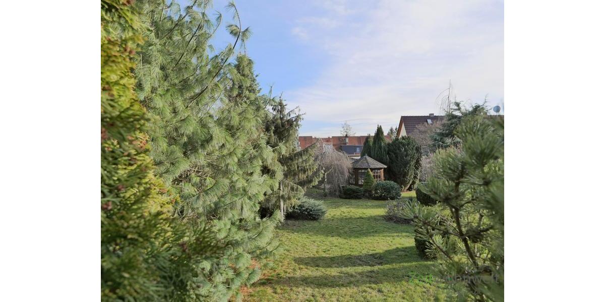 Blick in den Garten