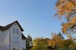 (EF1208_M) Magdeburg: Biederitz, komfortabel möblierte Wohnung mit Wohnküche, Parkettböden und Kamin - Etagenwohnung Biederitz Biederitz | Angebot:17900566