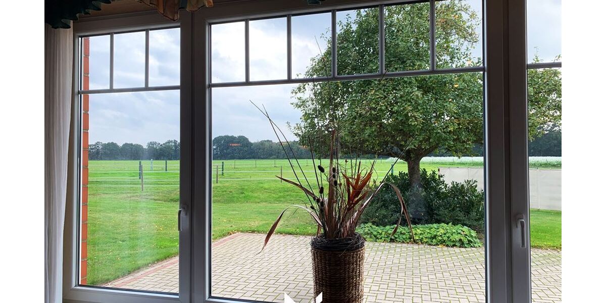 Ausblick vom kleinen Saal auf die Koppel