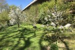 Erfüllen Sie sich den Traum vom Eigenheim in Bodenwerder! - Bauernhaus, Landhaus Bodenwerder Linse | Angebot:22283817