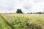 NATURNAH UND IDYLLISCH MIT BAUGENEHMIGUNG - Grundstück Engelbrechtsche Wildnis | Angebot:27164924