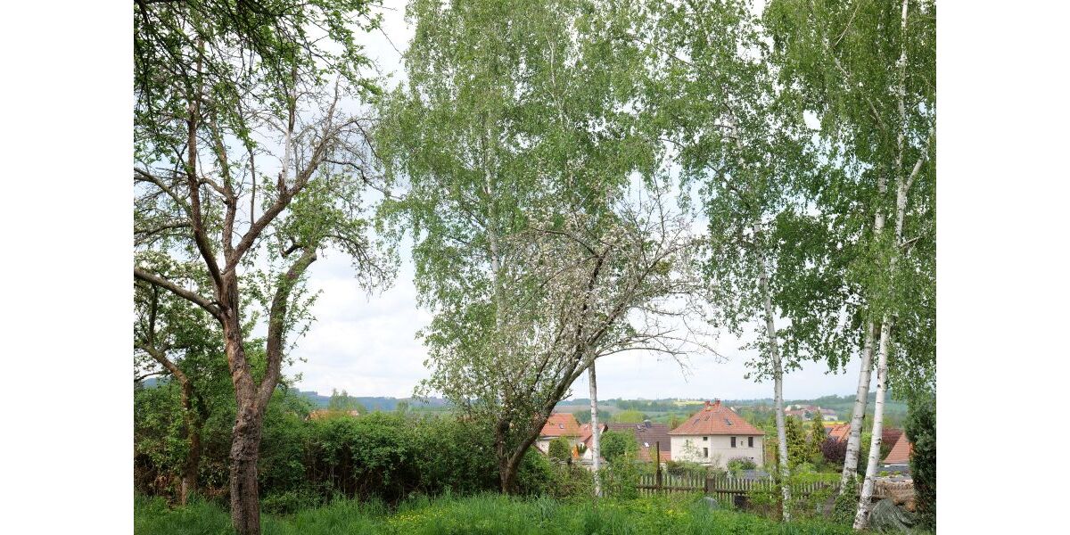 Garten-Ende-Aussicht
