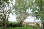 Provisionsfrei* Zwischen Blauberg und Garten - Einfamilienhaus Kreischa | Angebot:26803534