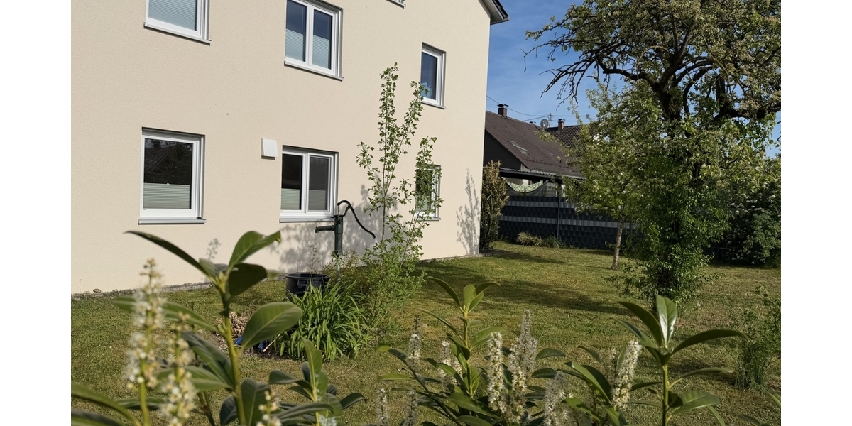 Obstgarten auf der Westseite